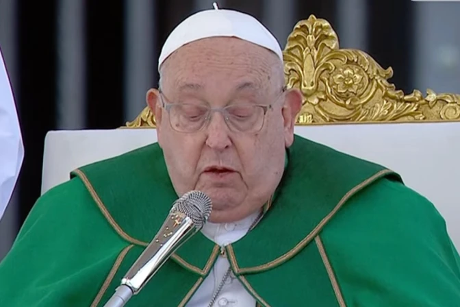 Papa Francisco Angelus